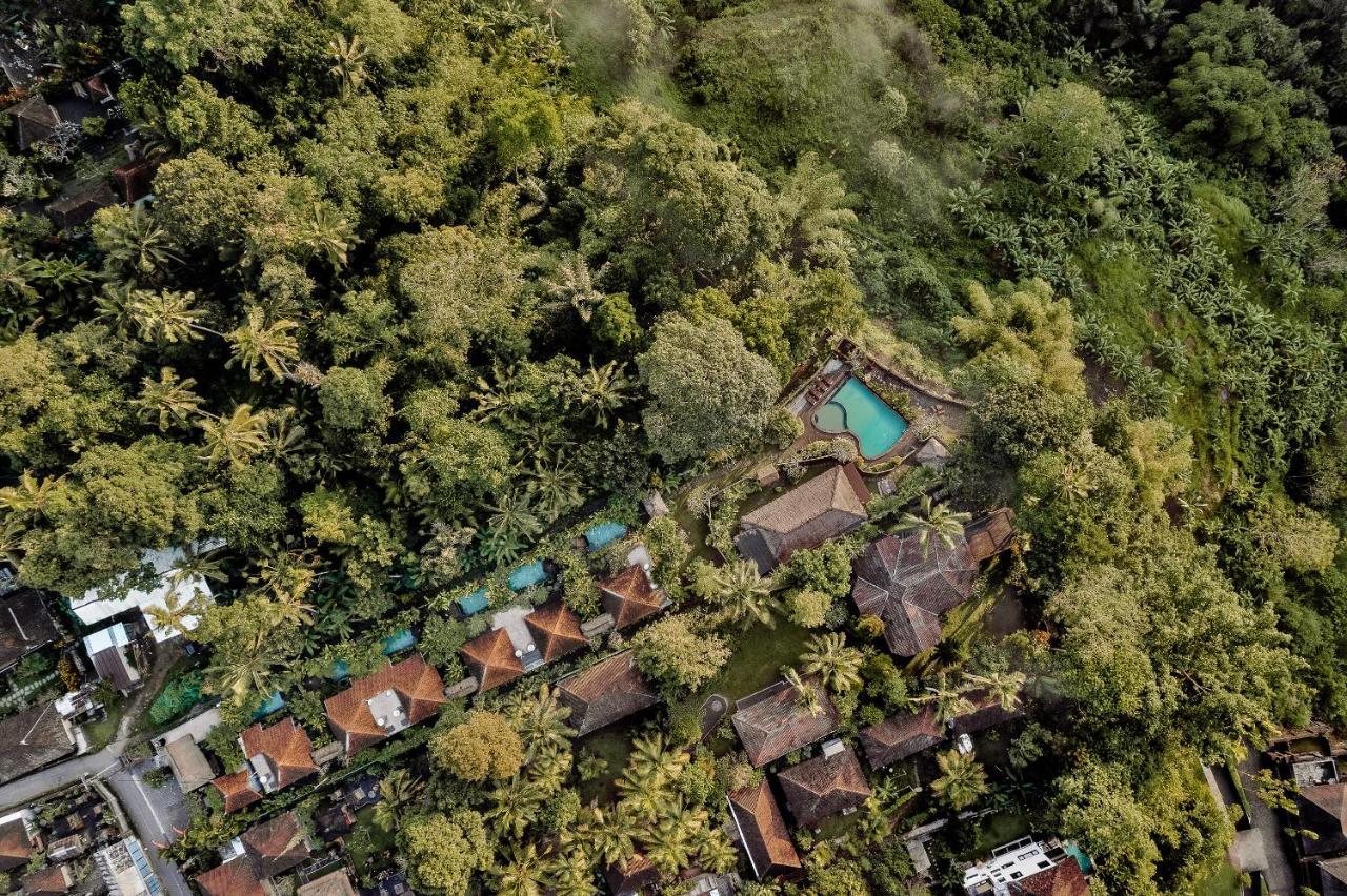 Teja Lokha Ubud Villa Екстер'єр фото